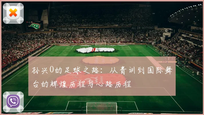 孙兴O的足球之路：从青训到国际舞台的辉煌历程与心路历程
