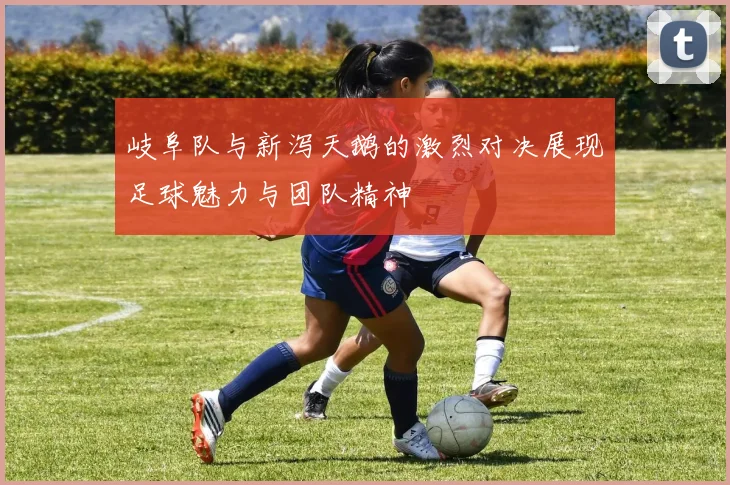 岐阜队与新泻天鹅的激烈对决展现足球魅力与团队精神